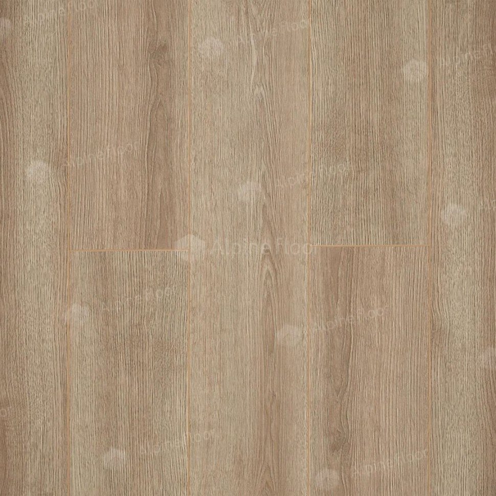 Ламинат "Camsan" Дуб Кашемир (1380*190*10 мм) — купить в Полевском